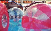 do you like human zorb ball